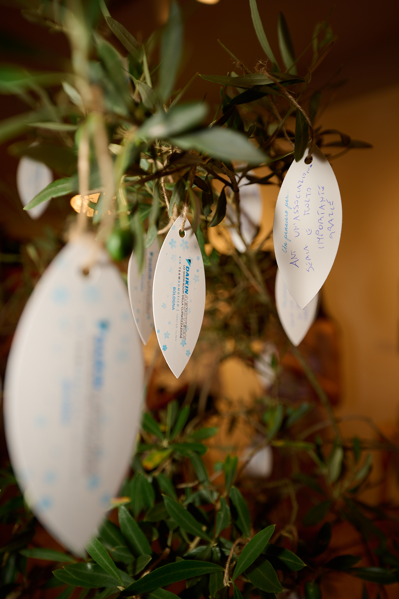 Fondazione ANT